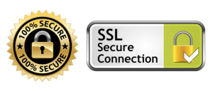 SSL Secure Connection Payment Transaction
